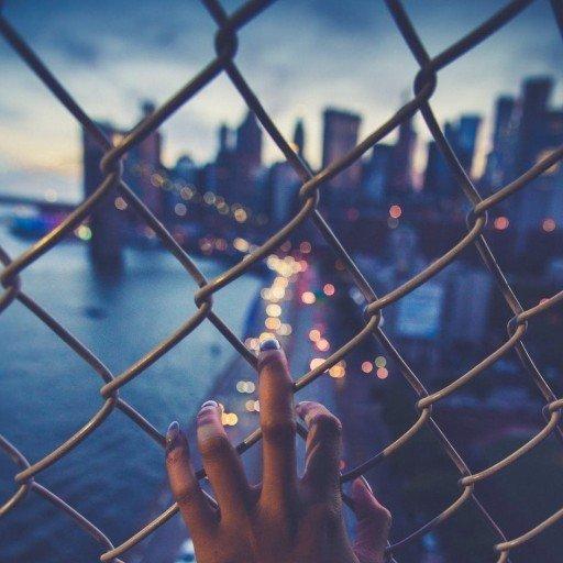 Cardano launches support for smart contracts on testnet