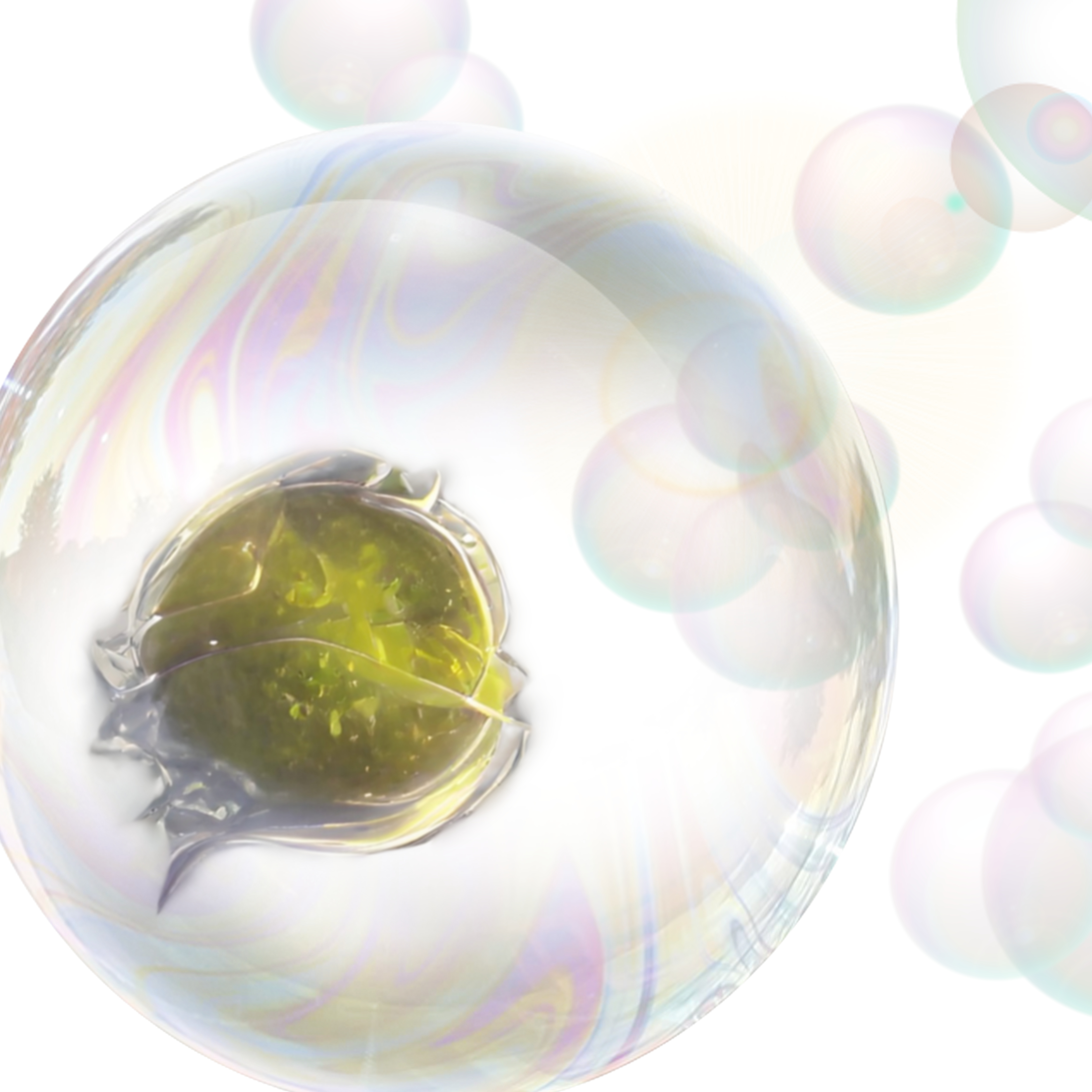 Monetary Expand Rate