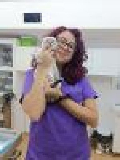 Sorina Urcan bio pic