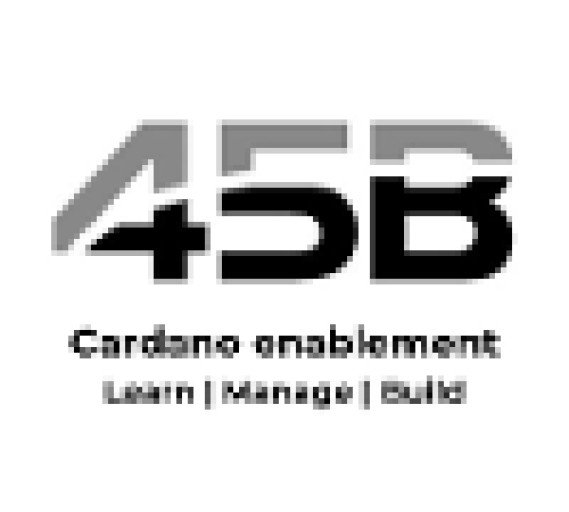 45B - Cardano Enablement bio pic