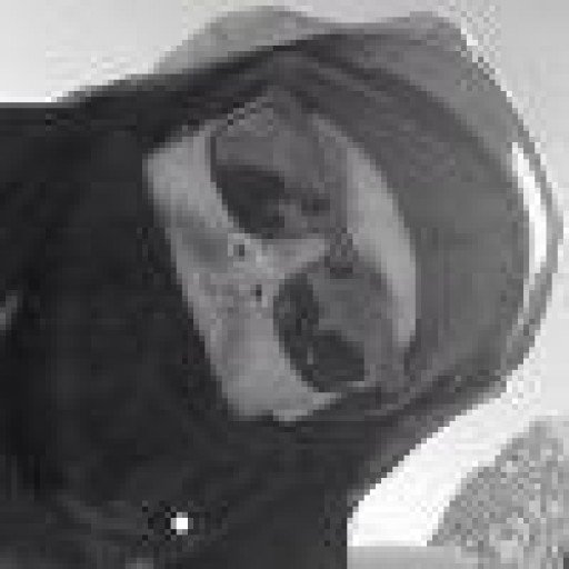 Stephan Birri bio pic