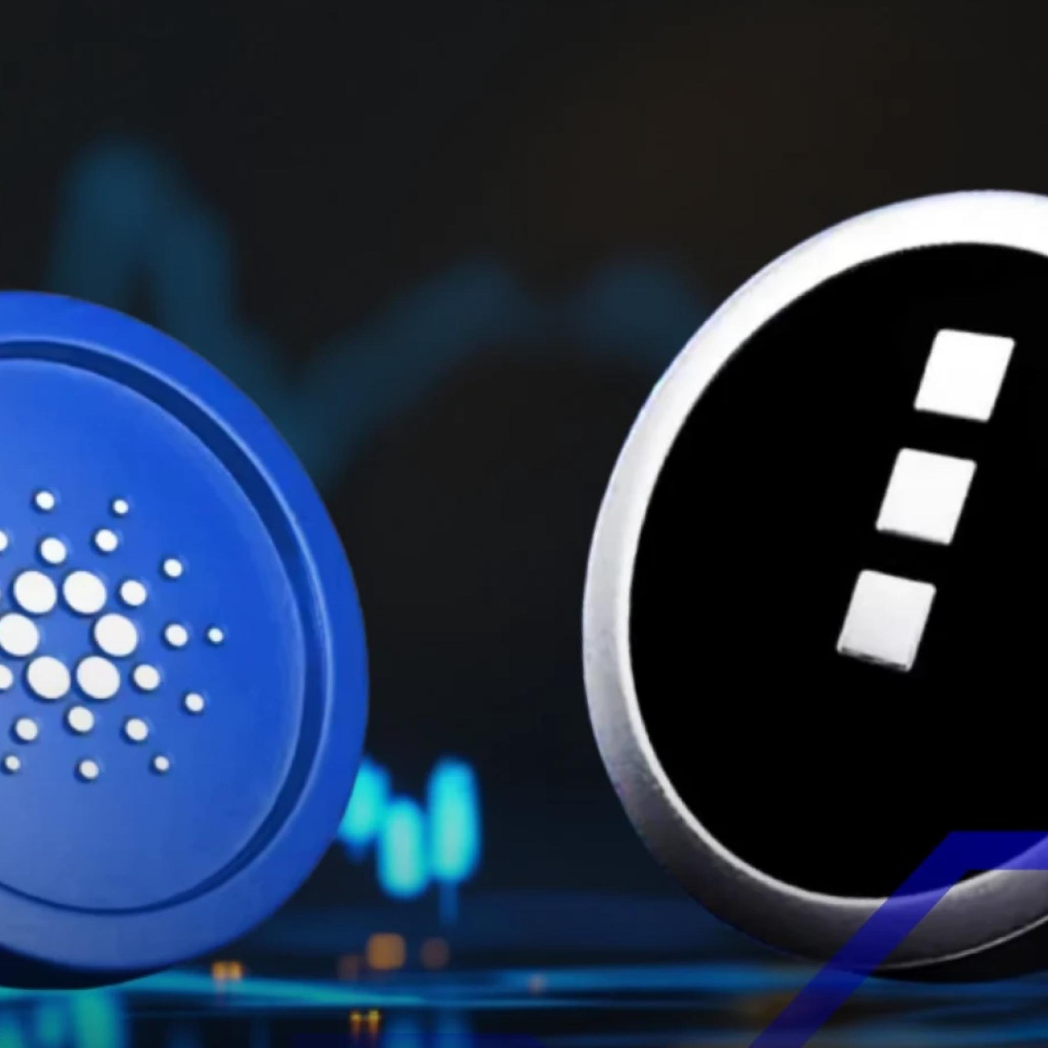 cardano-midnight-web