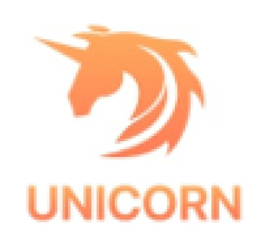 Unicorn Studio bio pic